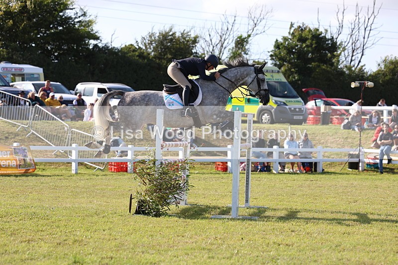 3E7A4411 - Class C: Showjumping Senior Foxhunter