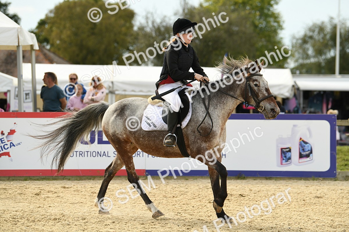 SBM_71080 - J15 - Junior Pony 70cm Championship
