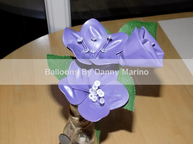  - Balloon Flowers