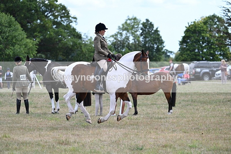 WJ7_5612 - Class 12 Ridden Cob
