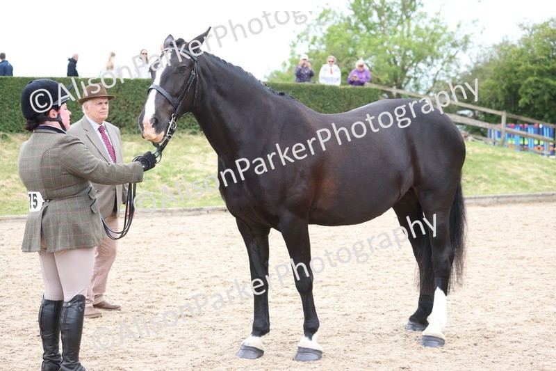 20250524-1012 - Class 9 - Cob and Hunter