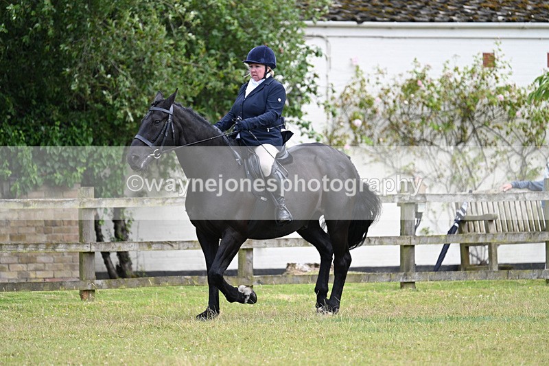 WJ7_9138 - Class 8 Ridden Veterans