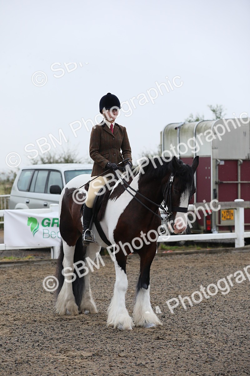SBM_19951 - Class 801 - Ridden Veteran