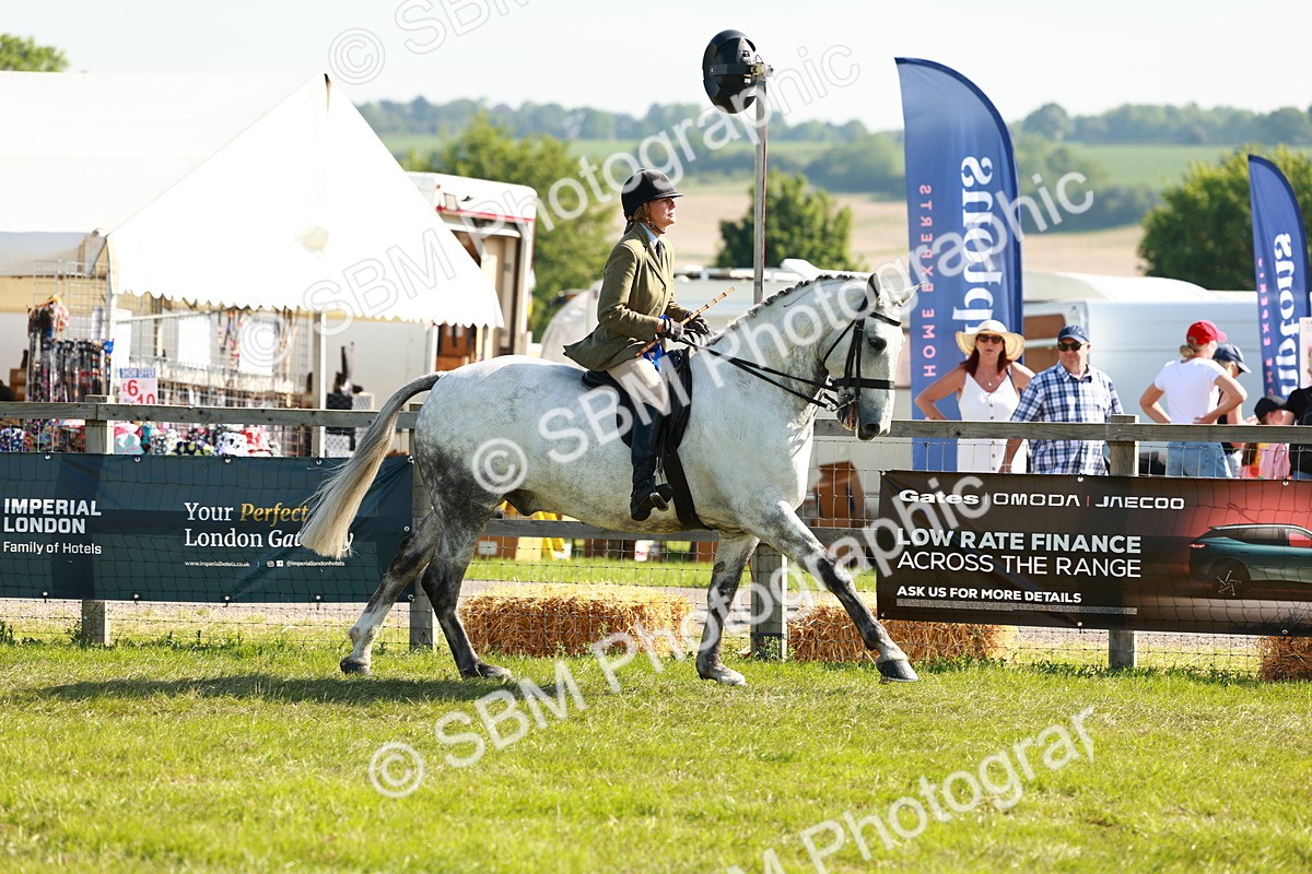 SBM_11902 - Class 66-69 - RIHS Ridden Hunters Inc Small Hunter