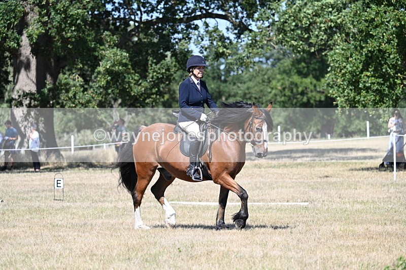 WJ7_0713 - Time 12:03 to 12:23