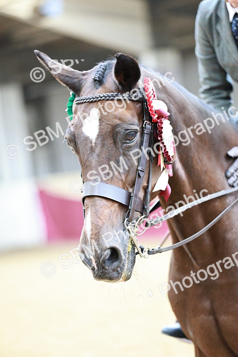 SBM_02309 - Class 4A - Area Ridden Diamond