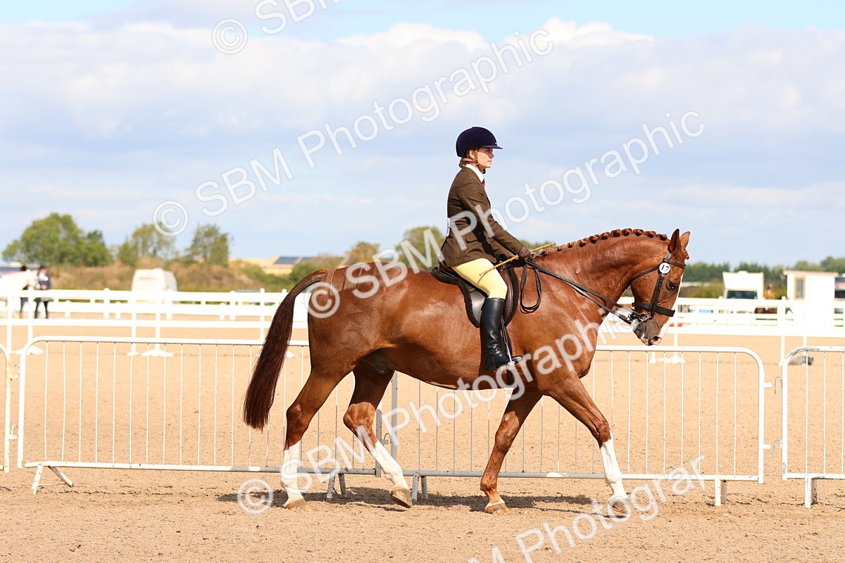 SBM_13468 - Class 212 - Ridden Hunter  - Large