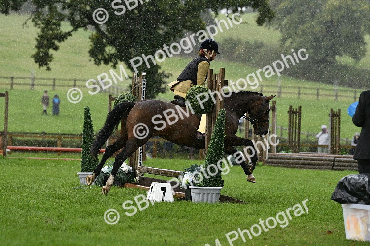 SBM_35484 - S30 - Nursery Stakes Working Hunter Pony