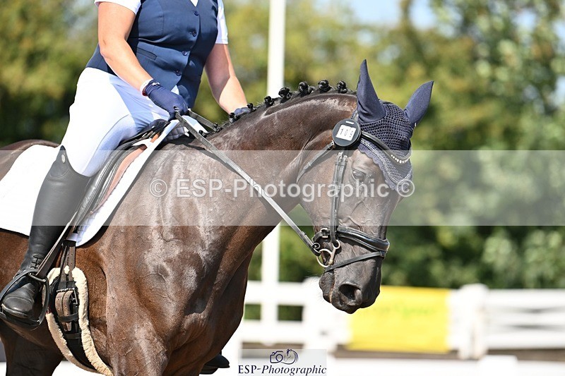 250816-115020-04080 - 109-Amber.Da.SilvaToners.Lady.Florentine