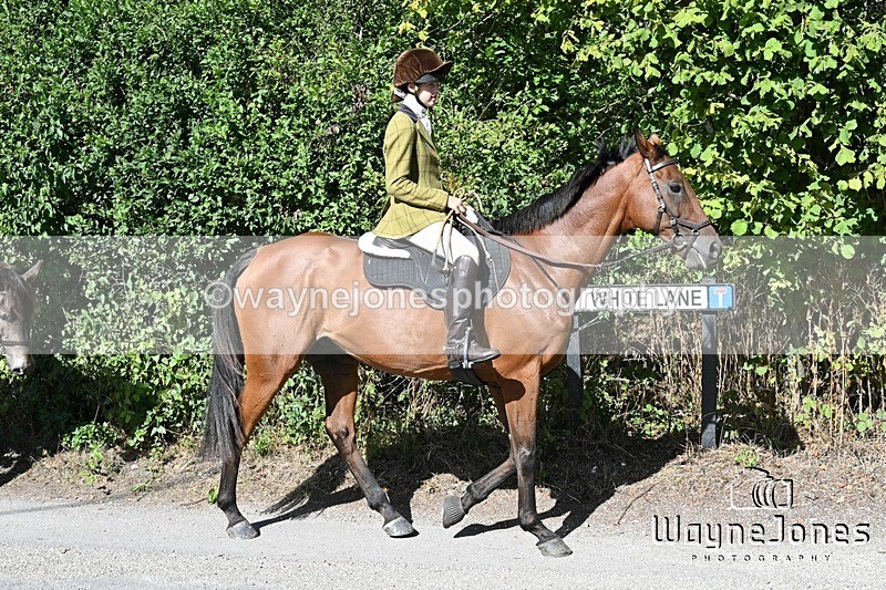 WJ7_0428 - Berks & Bucks - Hound Exercise – Kennels 06-09-26