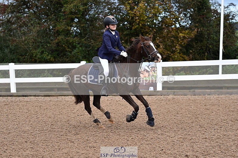 231029A-103652-02349 - 70cm Pony Intro