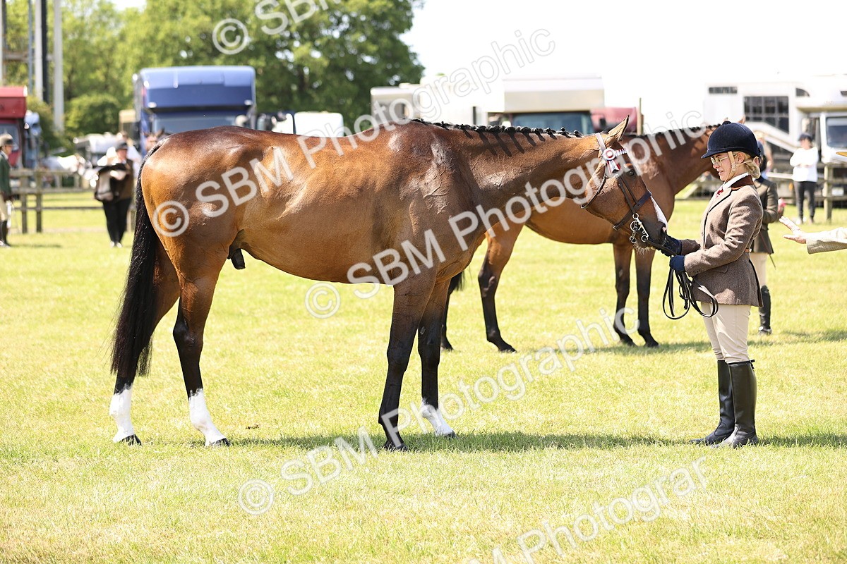SBM_14970 - Class 78 - LIHS BSHA Open Racehorse & Show Horse