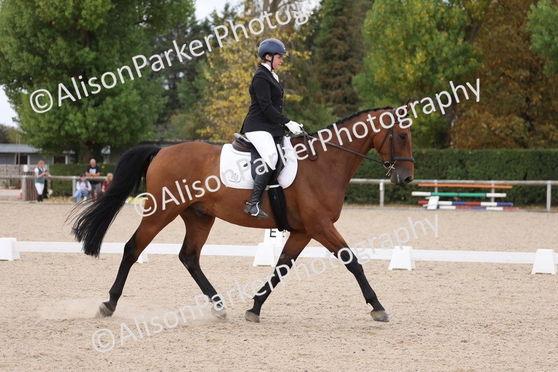 20250819-1265 - Class 4 - Novice 2