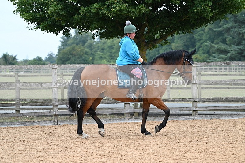 WJ7_8224 - Poles 11:00am