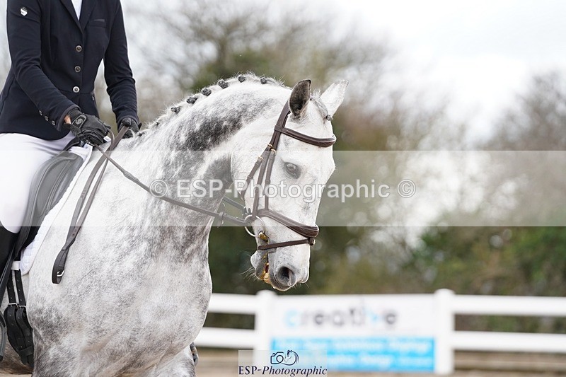 250322-121058-00311 - DR Novice 2 Test