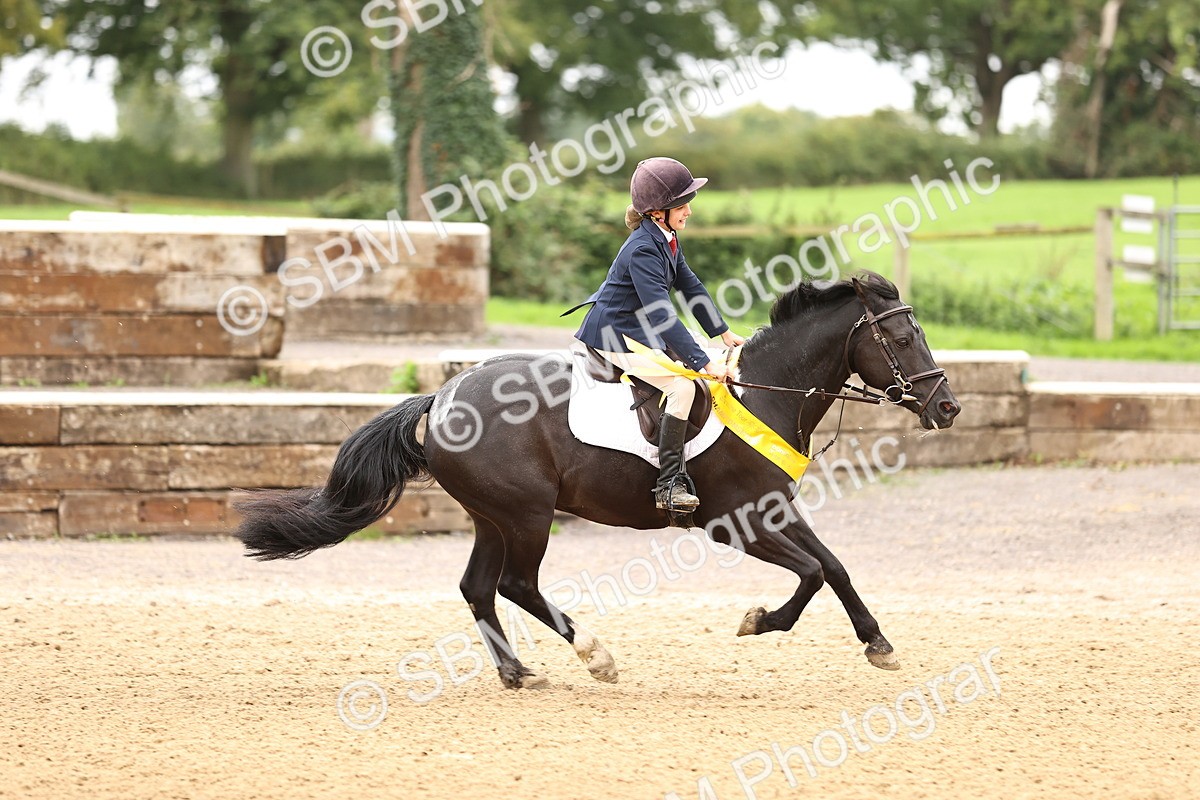 SBM_66764 - J17 - Junior Pony 80cm Championship