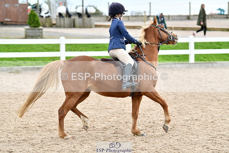 241013B-124746-01033 - Cls 3 50cm