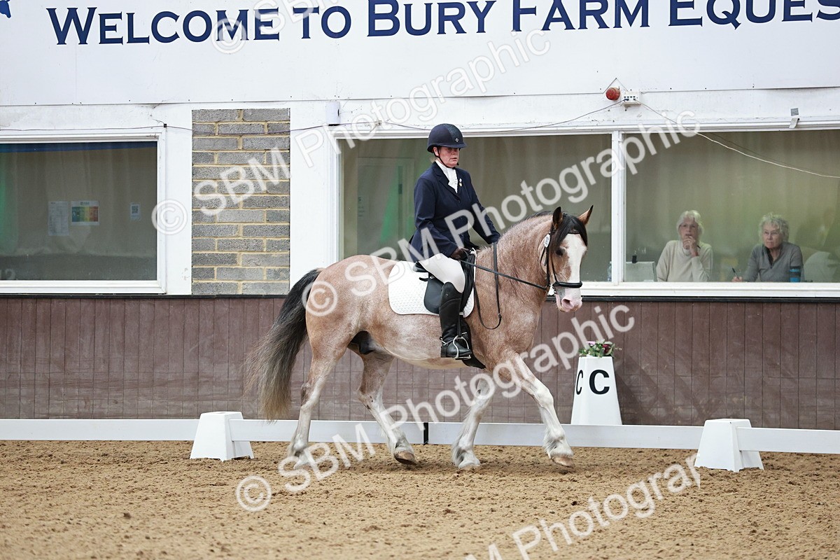 SBM_014225 - Class 7 - Ele FSM Bronze 12.12.13.08