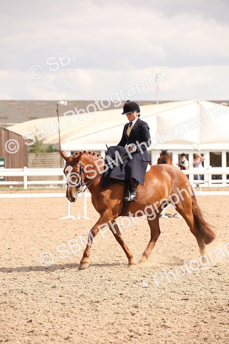 SBM_06726 - Class 24 Concours d'elegance
