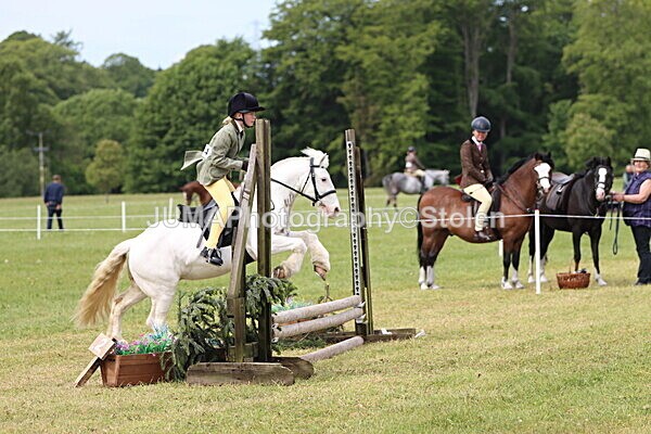 IMG_2530 - Working Hunter
