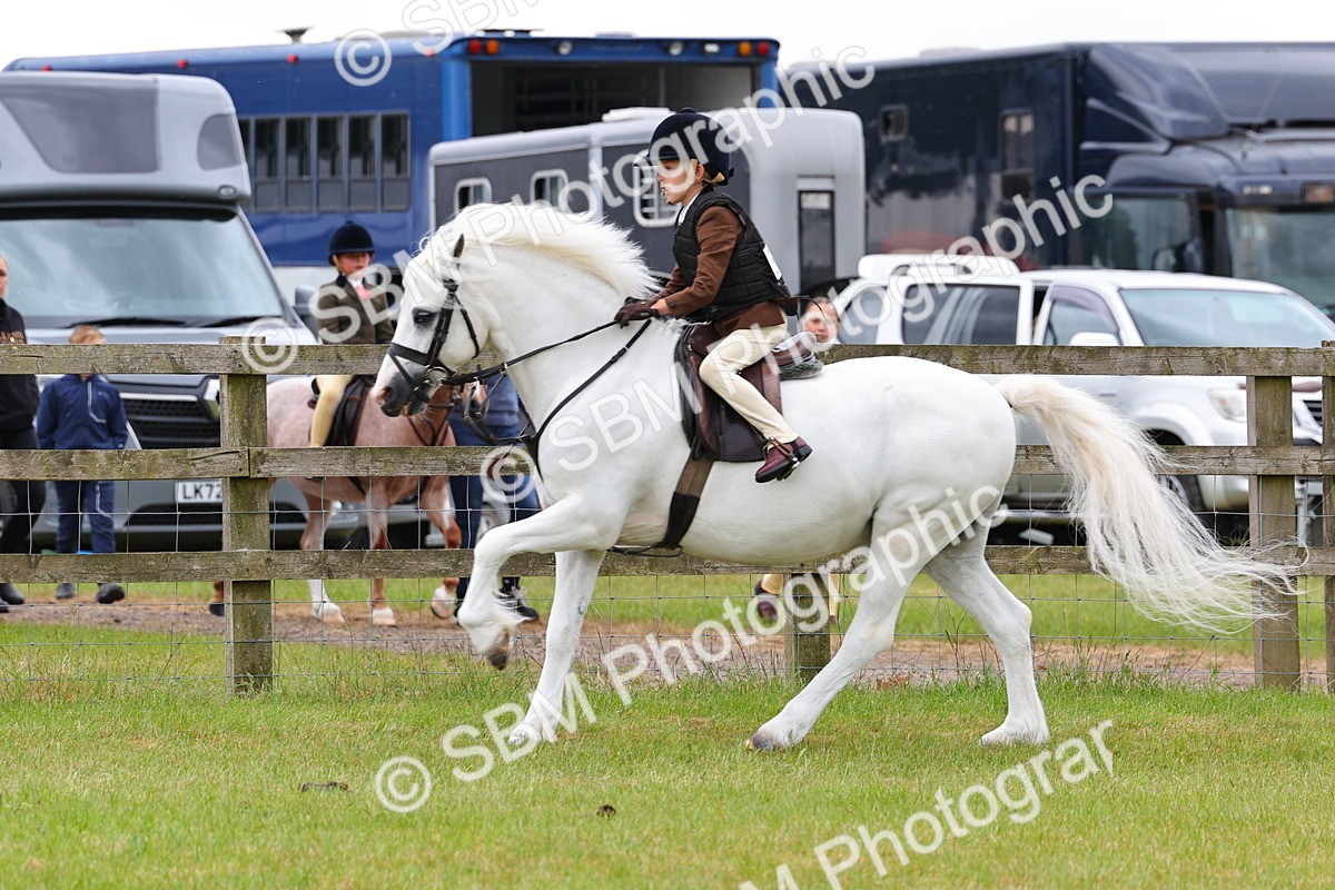SBM_08691 - Class 42-43 - LIHS BSPS Heritage Working Sports Pony