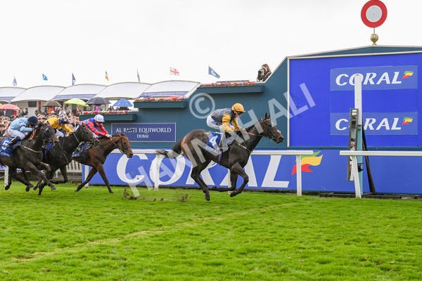 121024-Race 1-Jungle Drums-2577 - Race 1 1.30pm Coral Rockingham Stakes