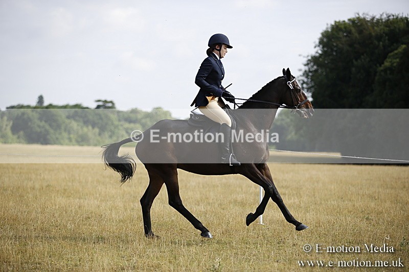 _C7A9282 - BVRC Show 2018 Ring 1