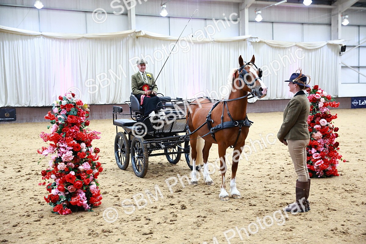 SBM_000681 - Class 11 - Peter Howell Memorial Gentlemen Whip