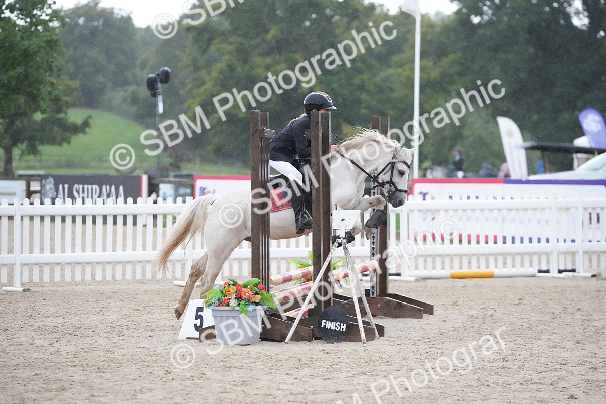 SBM_33584 - J5 - Junior Pony 50cm Championship