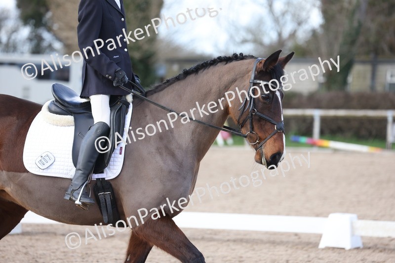 20260228-0827 - Class 6 - Novice 3