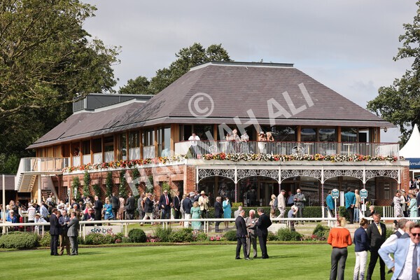 yr18082021r3-45 - Race 3 3.00pm Sky Bet Great Voltigeur Stakes