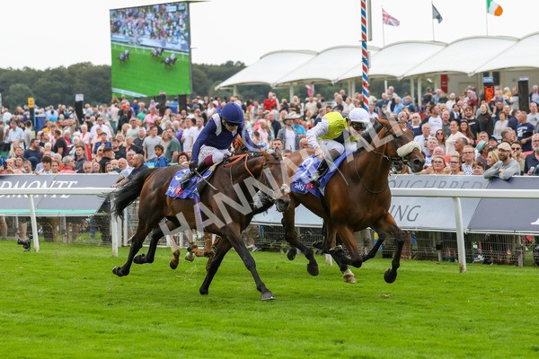 230823-Race 5-Forza Orta-4465 - Race 5 4.10pm Sky Bet Stayers Handicap