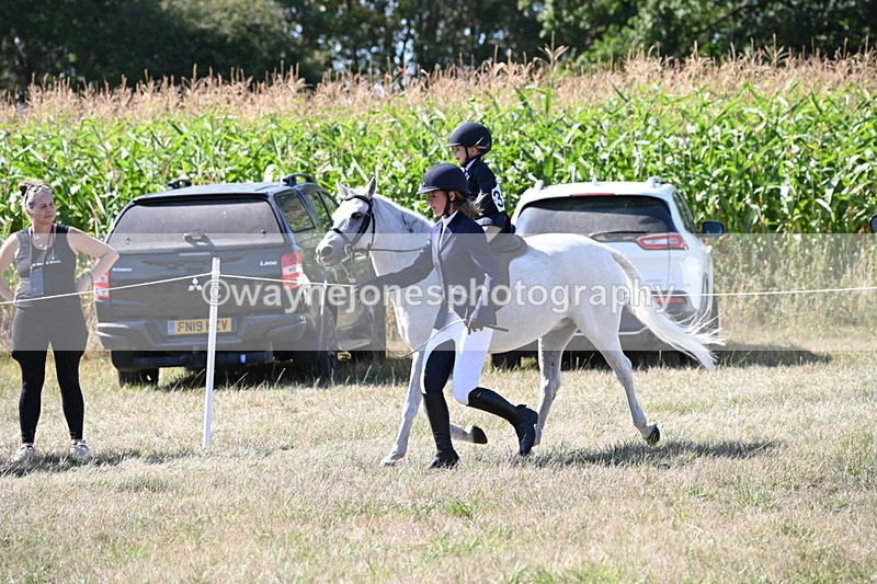 WJ6_8007 - Class 36 Lead Rein