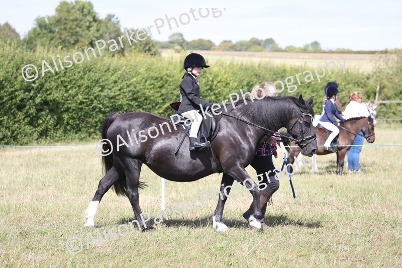 20260906-2743 - Class 25 - Absolute Beginners Pony