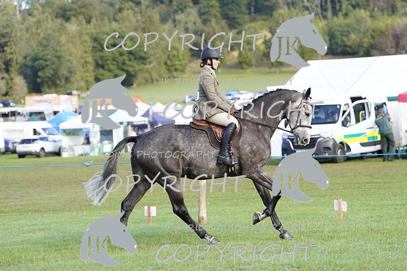 _DSC9332 - Class 8 & 17 Ridden Hunter & Ridden Hunter Pony
