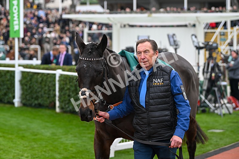 161124-Race 2-Paddock-Planned Paradise-9377 - Race 2