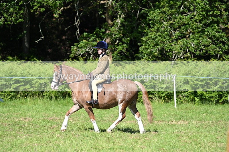 WJ7_0499 - Class 8 First Rally Pony