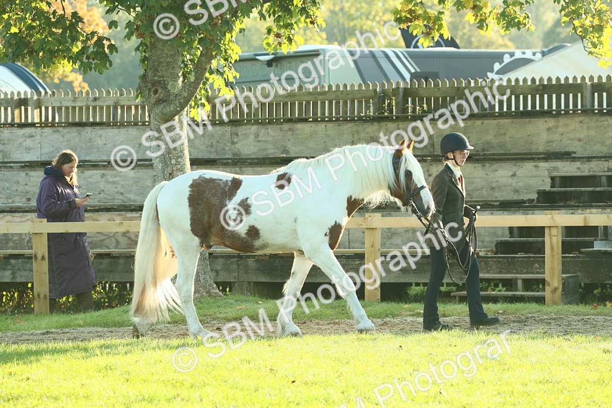 SBM_57313 - S37 - Starters In Hand Showing