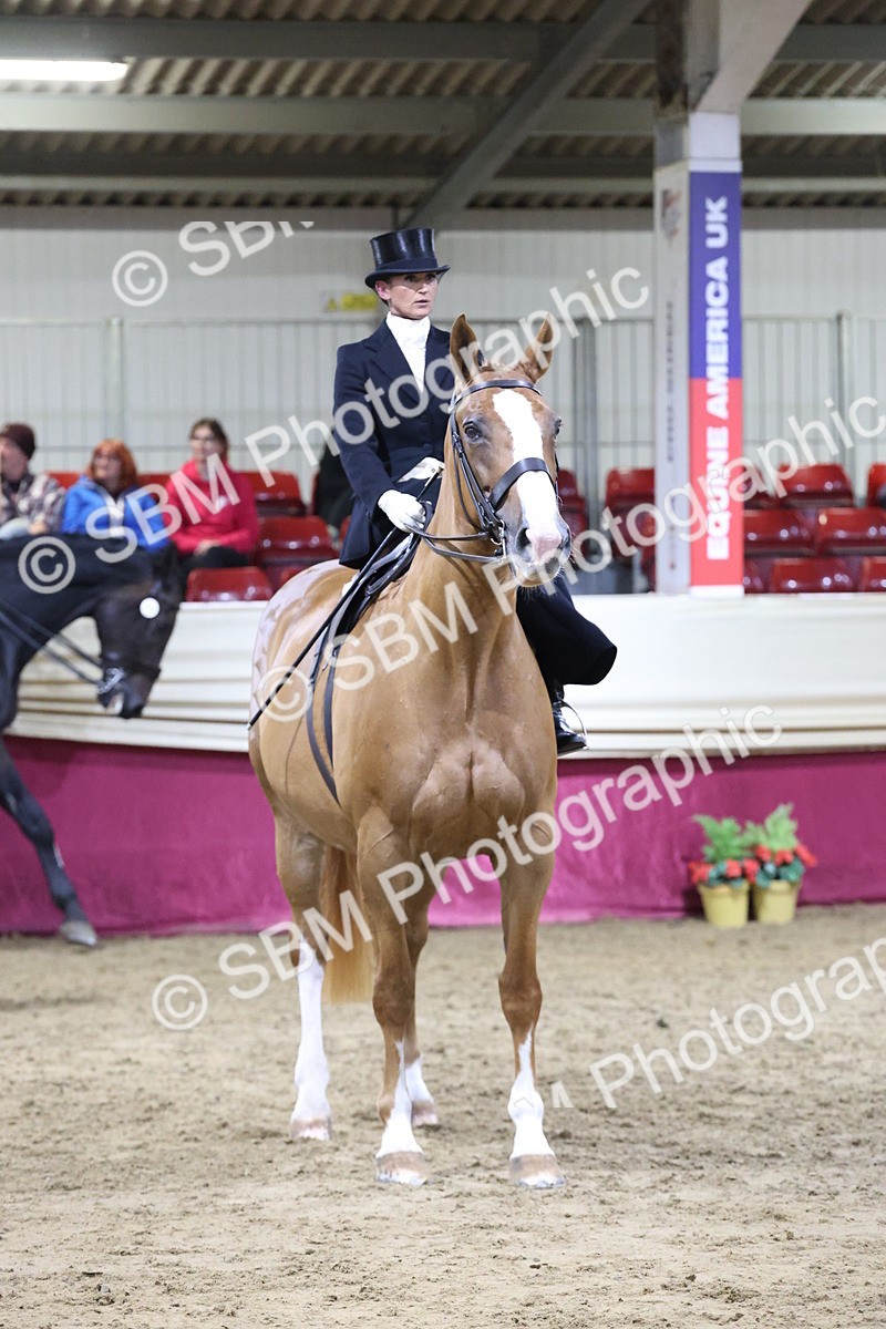 SBM_20976 - Class N - Side Saddle Champ