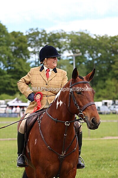 IMG_2865 - Working Hunter