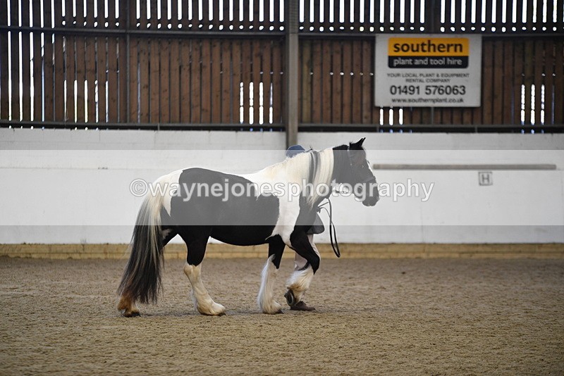 WJ5_5493 - Class 8 In hand cob