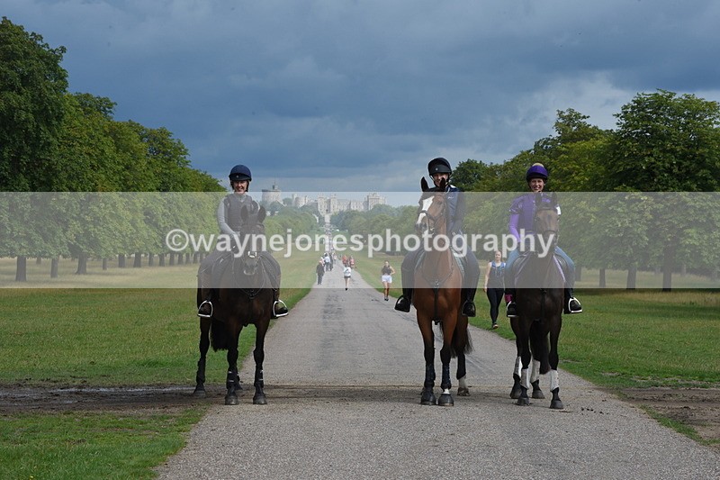 TT3_9184 - Time at Crossing 09:22 to 11:26