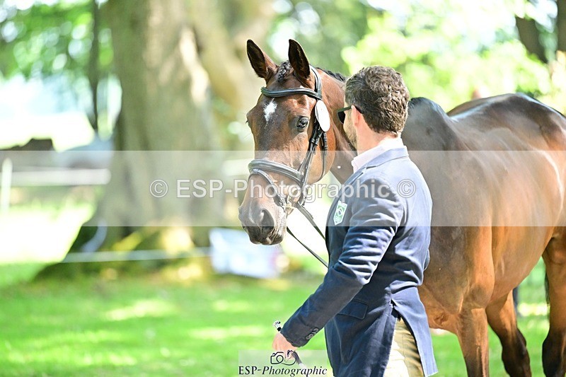 260527A-153109-01244 - C-390-Marcio.Appel