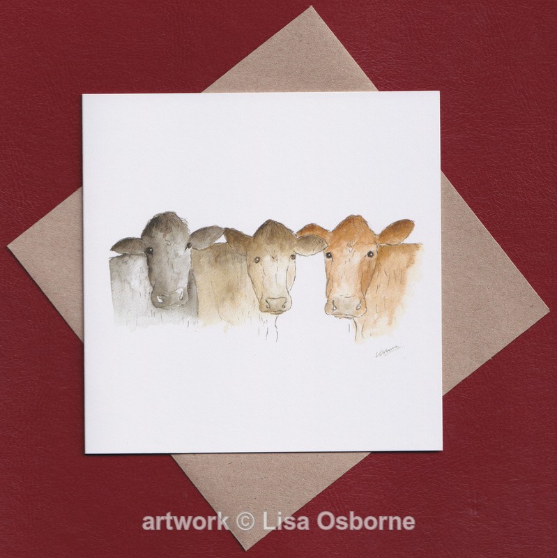 Cows greetings card - Cards