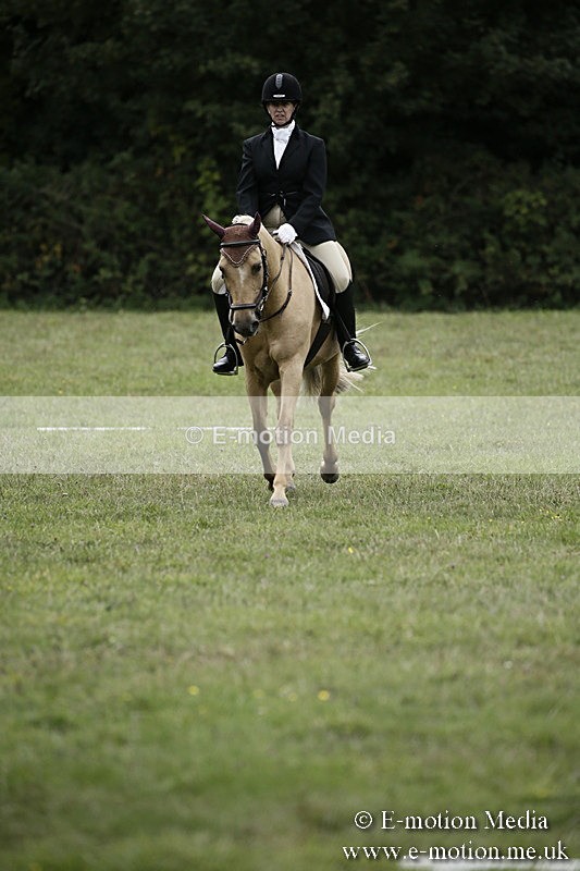 BVR080918 291 - BVRC Novice Dressage & CR 08/09/18