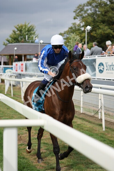 yr04092022r1-3 - Race 1 1.45pm IRE Incentive, It Pays To Buy Irish EBF Novice Stakes
