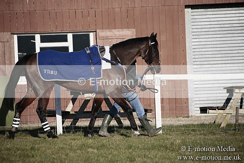 PtP 240218 636 - Vine & Craven Hunt Point-to-Point Barbury racecourse 24/02/18