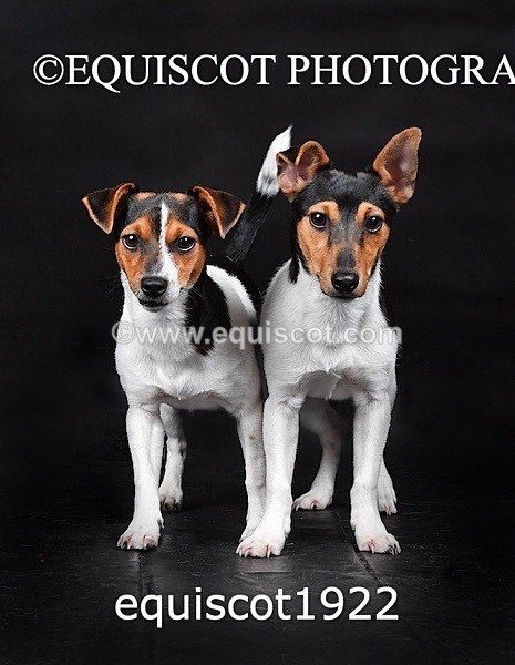 equiscot1922 - MARIS & CHIP