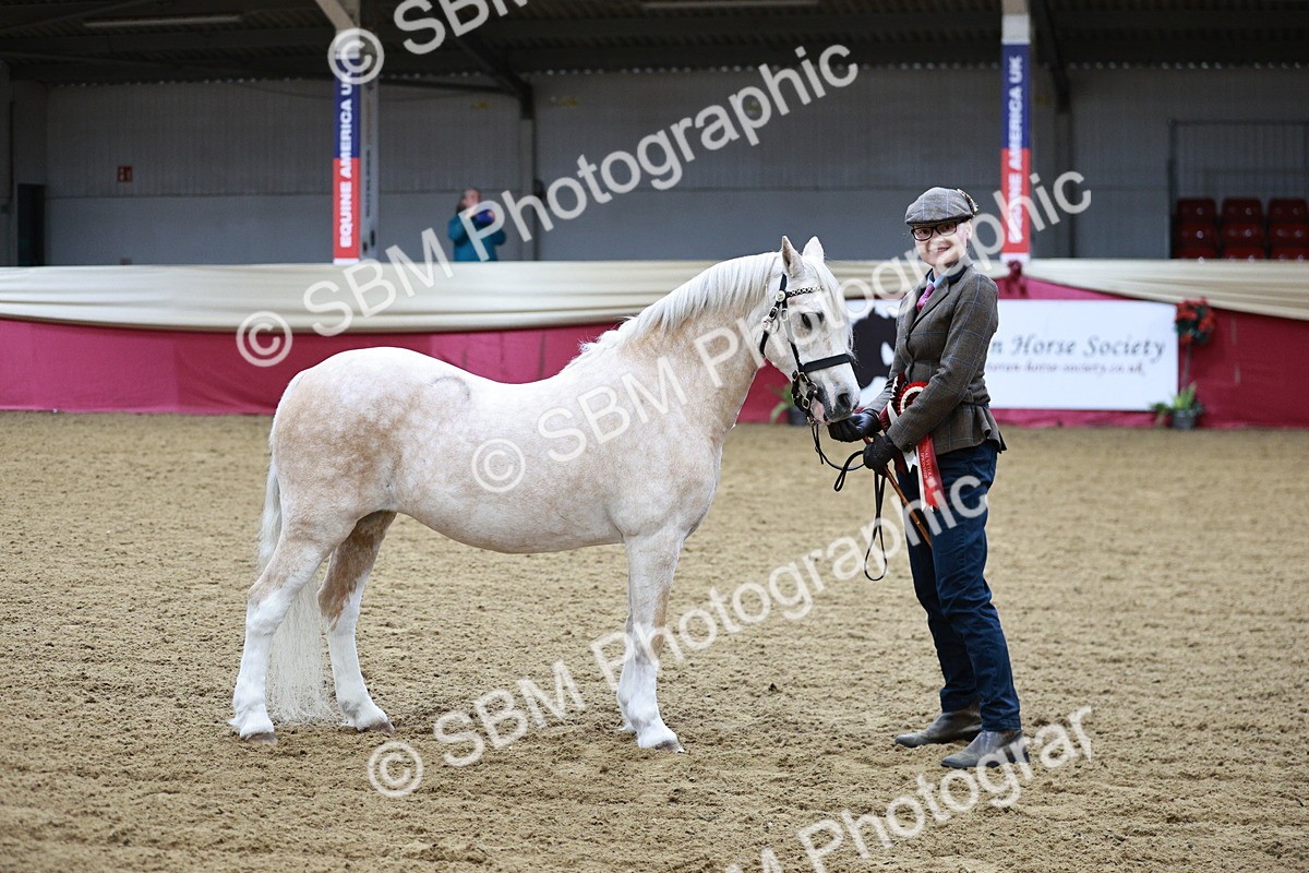 SBM_00328 - Class 1A - Area IH Diamond