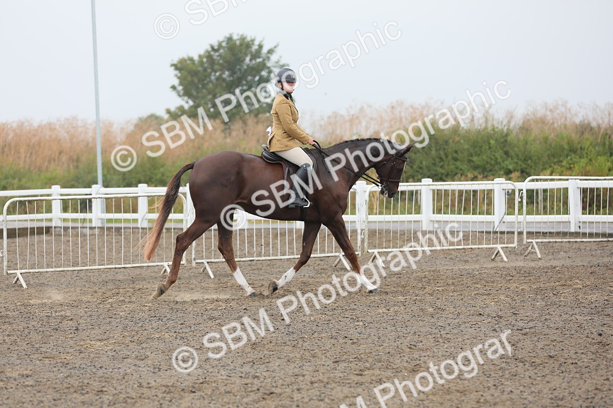 SBM_21227 - Class 805 - Ridden Veteran Horse